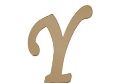 PLEKSİ 20 Lİ HARF ALTIN NO:Y