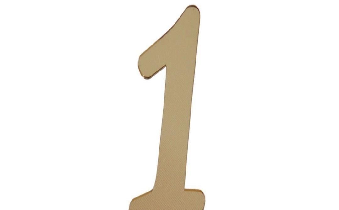 PLEKSİ 20 Lİ RAKAM ALTIN NO:1