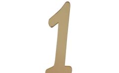 PLEKSİ 20 Lİ RAKAM ALTIN NO:1