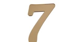 PLEKSİ 20 Lİ RAKAM ALTIN NO:7