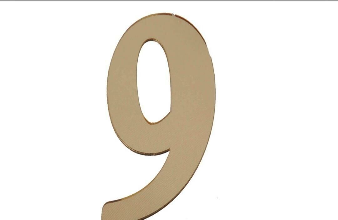 PLEKSİ 20 Lİ RAKAM ALTIN NO:9